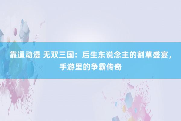 靠逼动漫 无双三国：后生东说念主的割草盛宴，手游里的争霸传奇