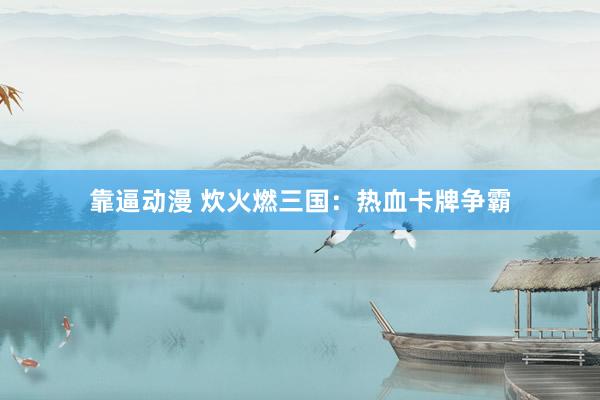 靠逼动漫 炊火燃三国：热血卡牌争霸