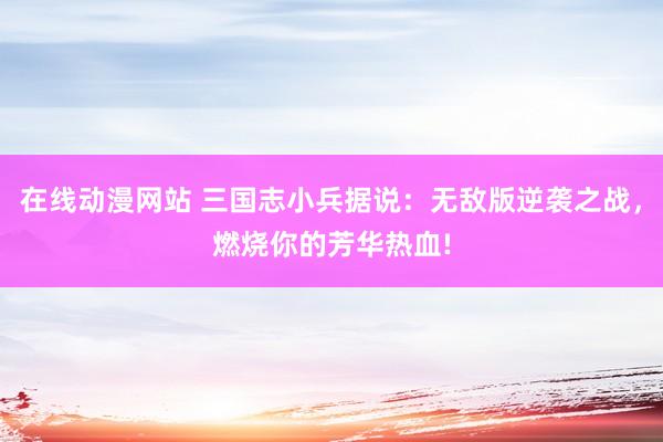 在线动漫网站 三国志小兵据说：无敌版逆袭之战，燃烧你的芳华热血!