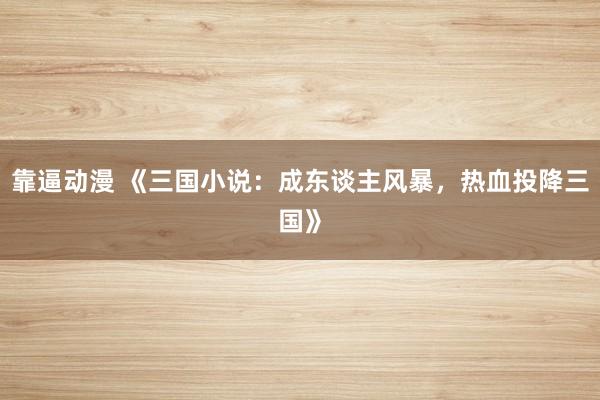 靠逼动漫 《三国小说：成东谈主风暴，热血投降三国》