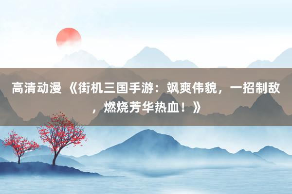 高清动漫 《街机三国手游：飒爽伟貌，一招制敌，燃烧芳华热血！》