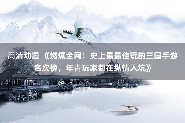 高清动漫 《燃爆全网！史上最最佳玩的三国手游名次榜，年青玩家都在纵情入坑》